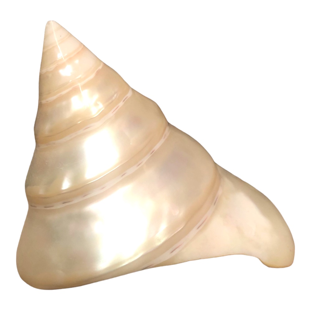 Text