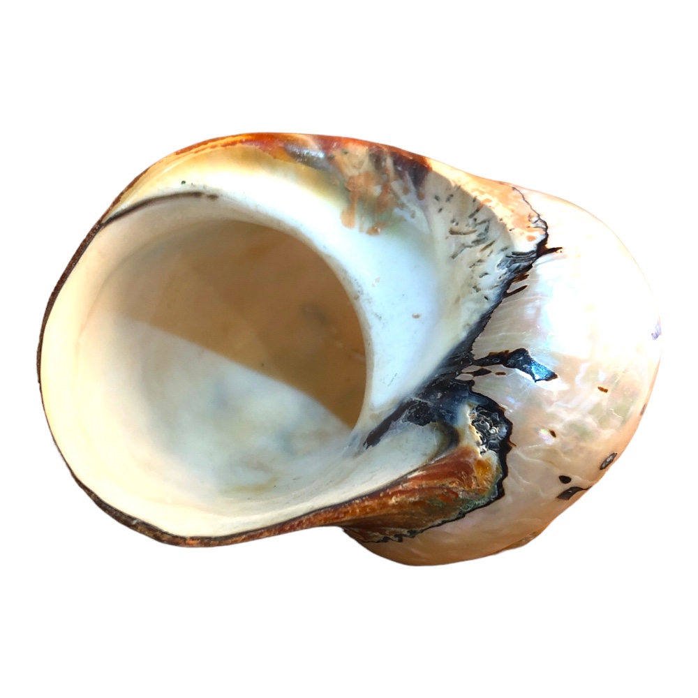 Text